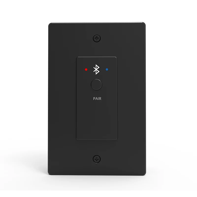 Panel 2-kanałowy Bluetooth Dante